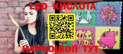 шишки Рыбинск
