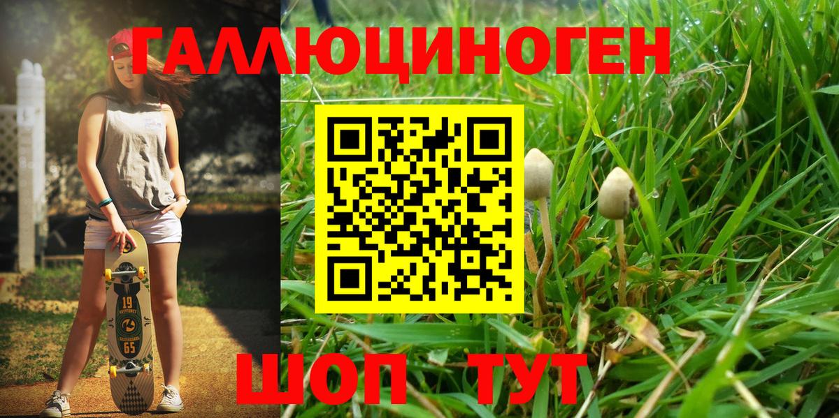 Родники  Псилоцибиновые грибы MAGIC MUSHROOMS  Вход с VPN  купить   Галлюциногенные грибы MAGIC MUSHROOMS 