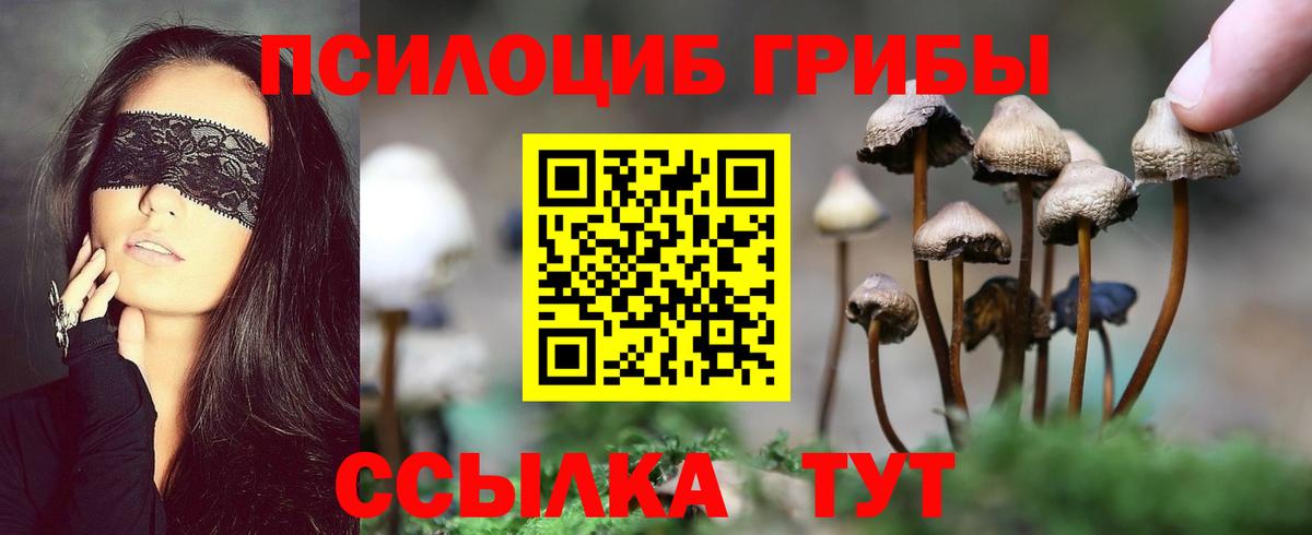 Галлюциногенные грибы GOLDEN TEACHER Родники
