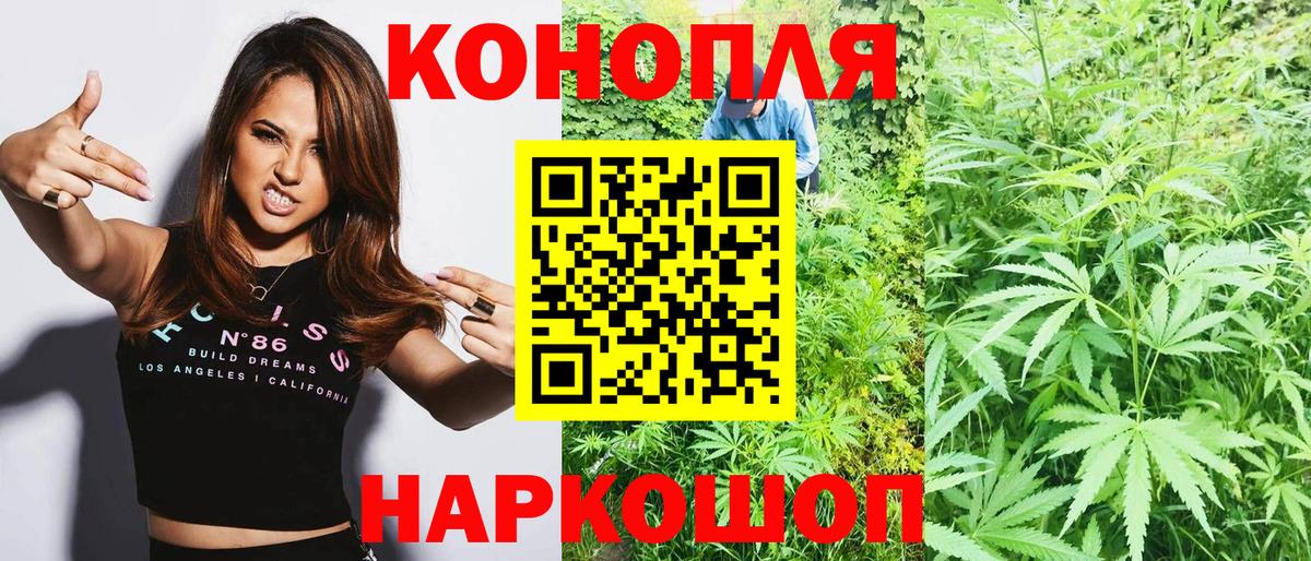 Бошки Шишки план  Вход с VPN  Бошки марихуана OG Kush  Родники  Марихуана OG Kush  Каннабис Bruce Banner 